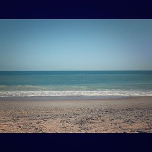 Meet your Posher, Carol